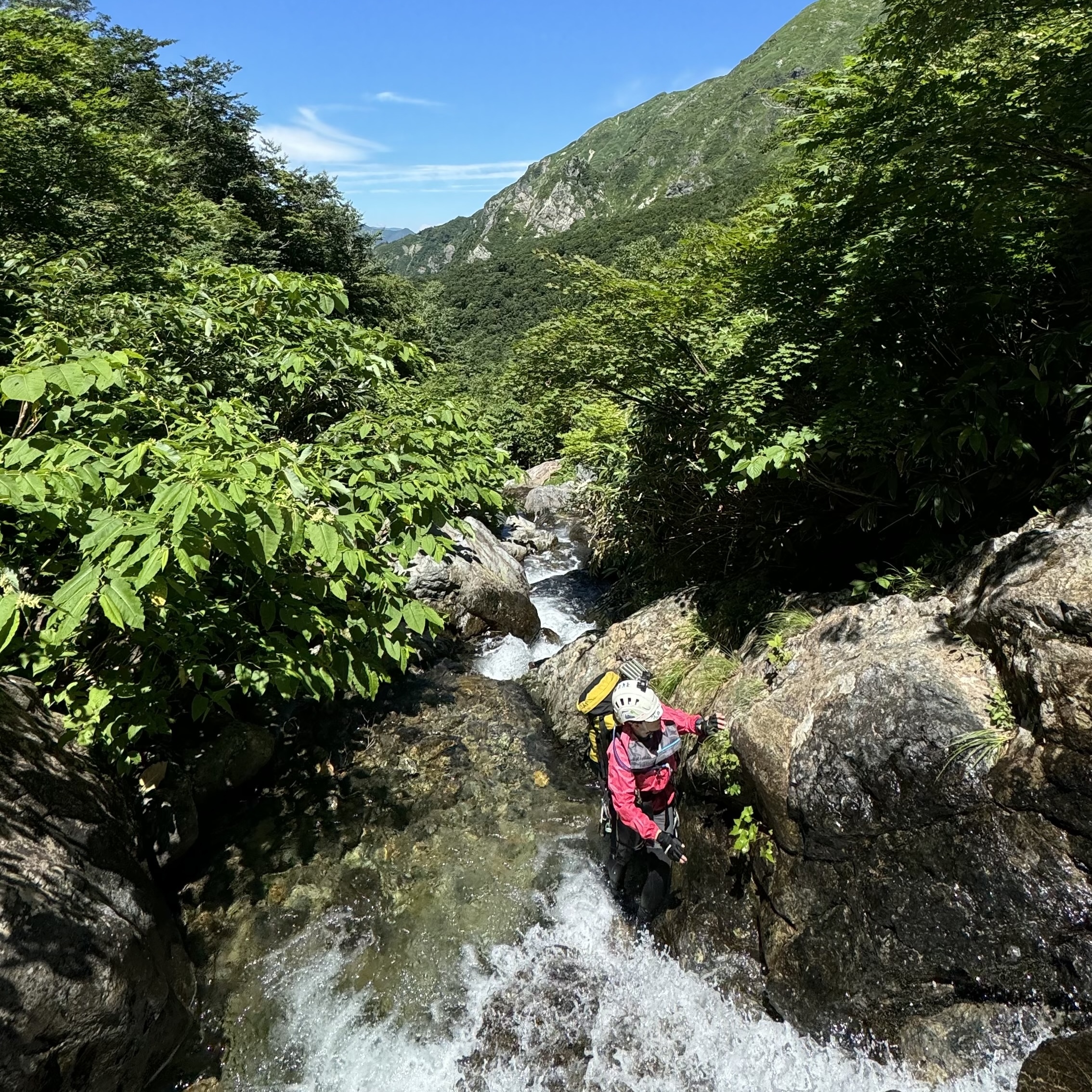 企業情報